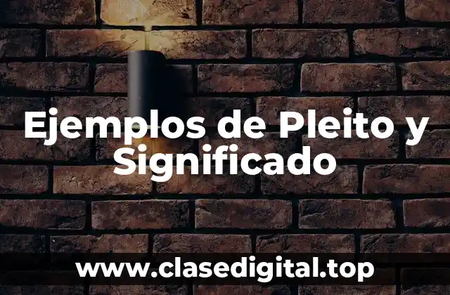 Ejemplos de Pleito y Significado