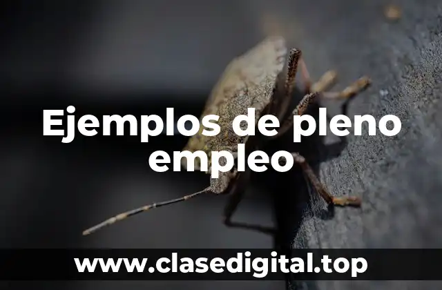 Ejemplos de pleno empleo