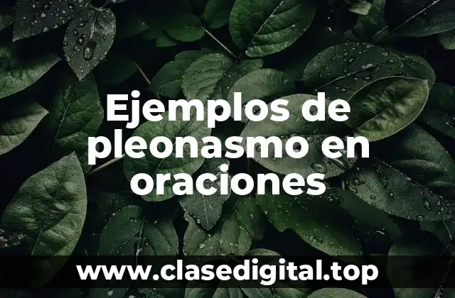 Ejemplos de pleonasmo en oraciones