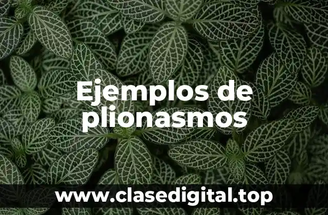 Ejemplos de plionasmos