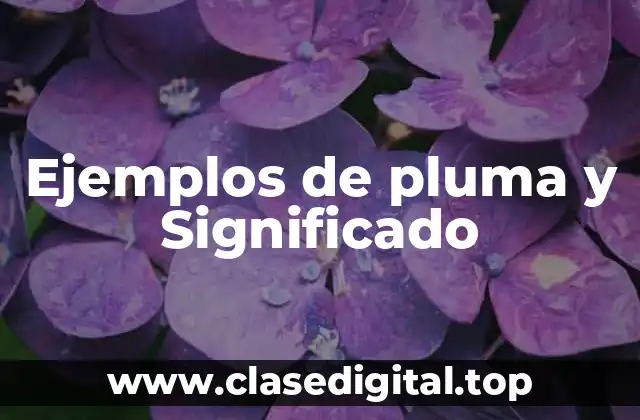 Ejemplos de pluma y Significado