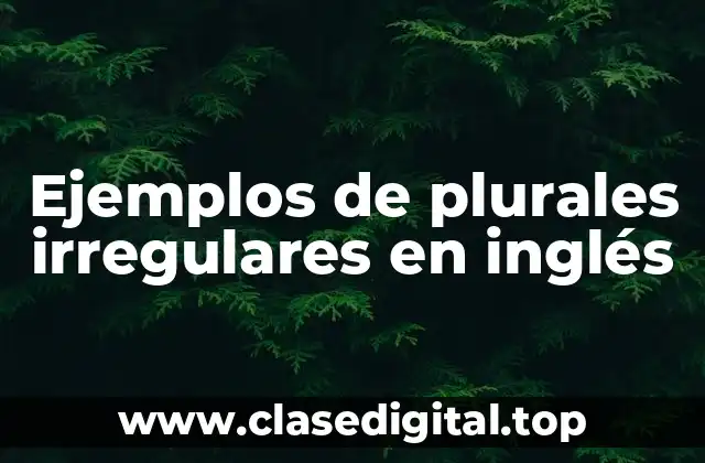 Ejemplos de plurales irregulares en inglés