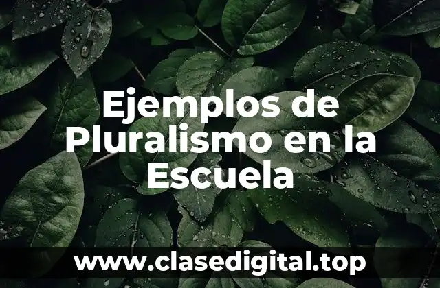 Ejemplos de Pluralismo en la Escuela