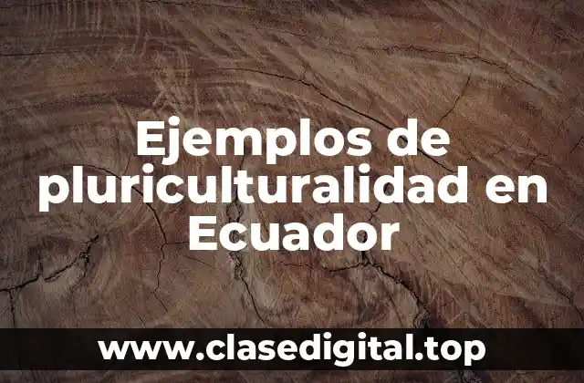 Ejemplos de pluriculturalidad en Ecuador