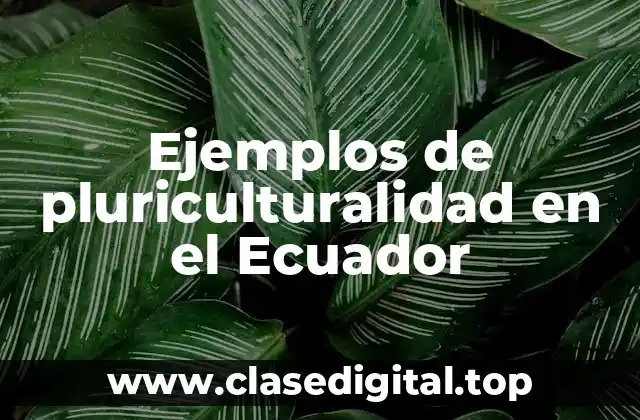 Ejemplos de pluriculturalidad en el Ecuador