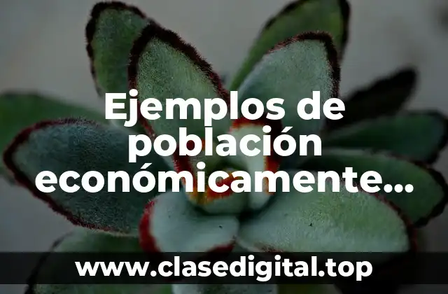 Ejemplos de población económicamente activa y Significado