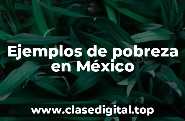 Ejemplos de pobreza en México