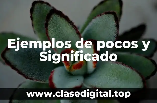 Ejemplos de pocos y Significado
