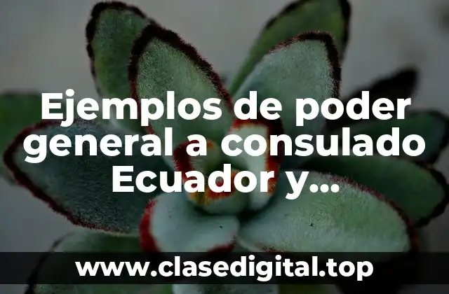 Ejemplos de poder general a consulado Ecuador y Significado