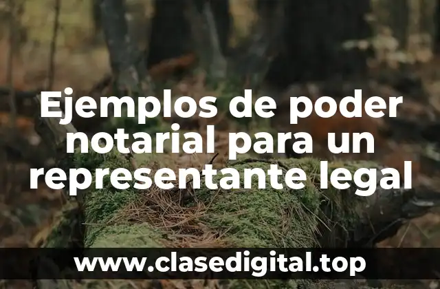 Ejemplos de poder notarial para un representante legal