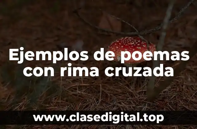 Ejemplos de poemas con rima cruzada