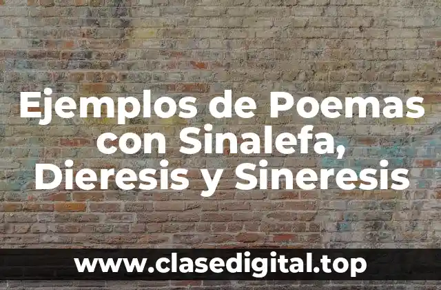 Ejemplos de Poemas con Sinalefa, Dieresis y Sineresis