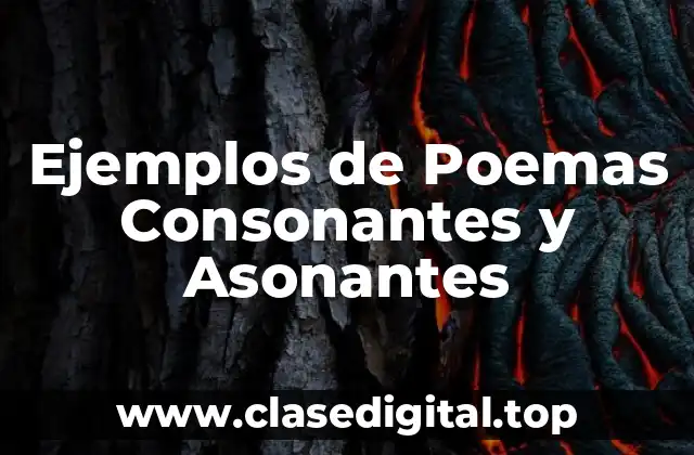 Ejemplos de Poemas Consonantes y Asonantes