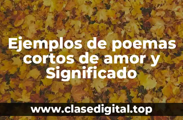 Ejemplos de poemas cortos de amor y Significado