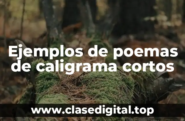 Ejemplos de poemas de caligrama cortos