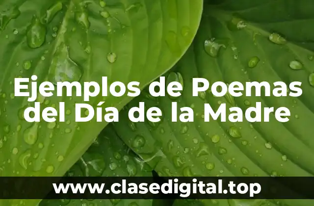 Ejemplos de Poemas del Día de la Madre