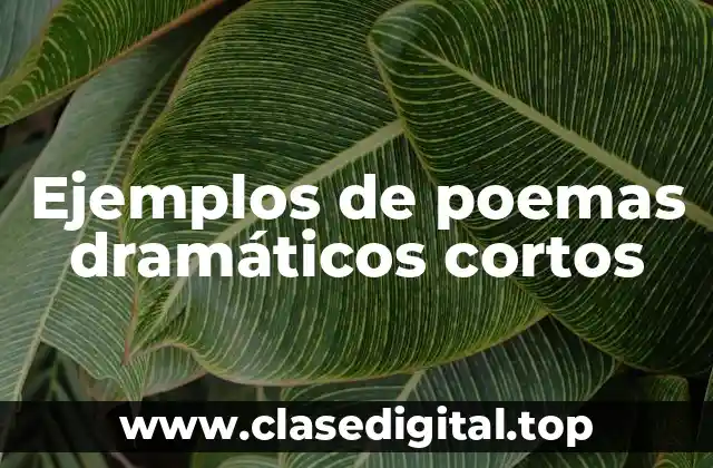 Ejemplos de poemas dramáticos cortos