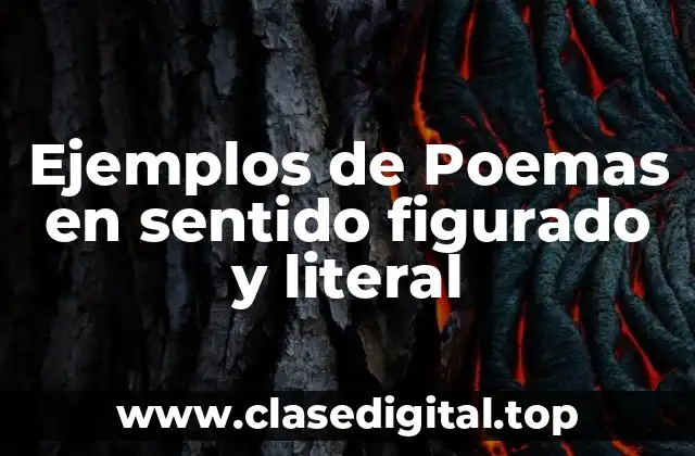 Ejemplos de Poemas en sentido figurado y literal