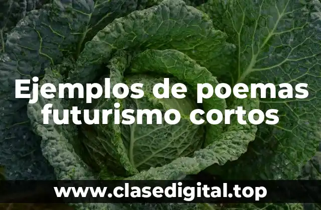 Ejemplos de poemas futurismo cortos