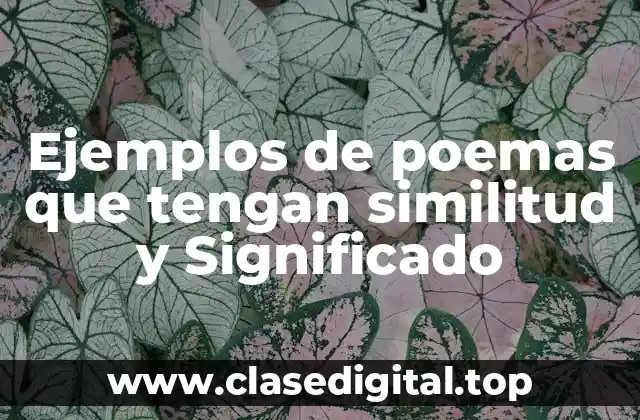 Ejemplos de poemas que tengan similitud y Significado
