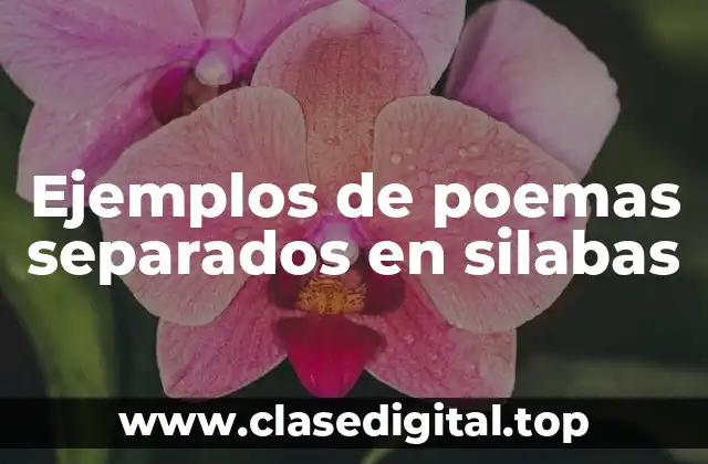 Ejemplos de poemas separados en silabas
