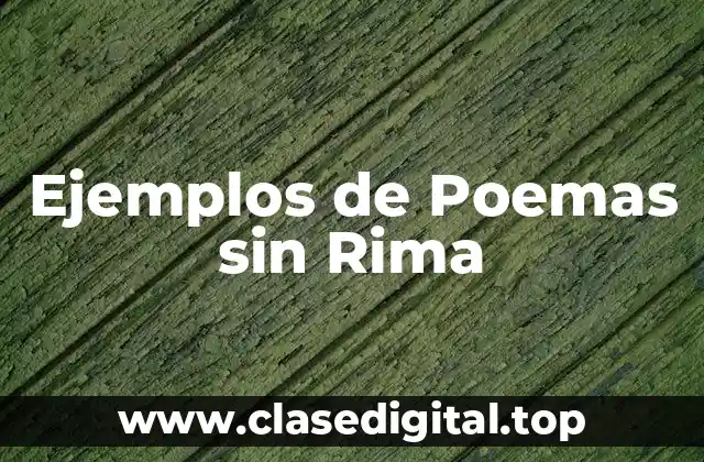Ejemplos de Poemas sin Rima