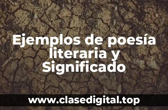 Ejemplos de poesía literaria y Significado