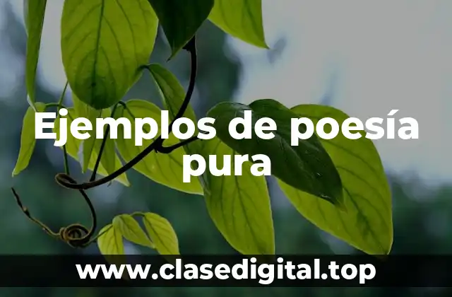 Ejemplos de poesía pura