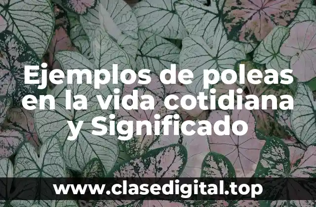 Ejemplos de poleas en la vida cotidiana