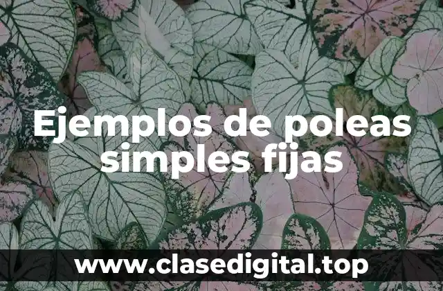 Ejemplos de poleas simples fijas