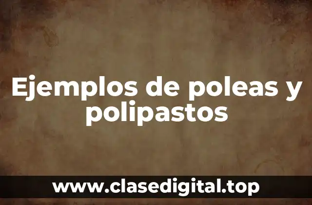 Ejemplos de poleas y polipastos