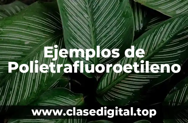 Ejemplos de Polietrafluoroetileno