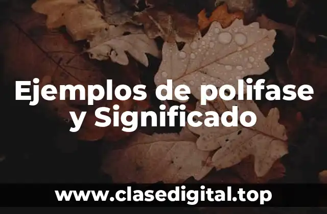Ejemplos de polifase y Significado