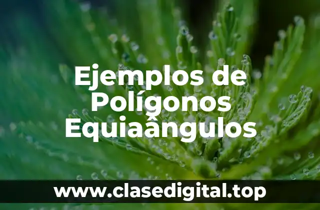 Ejemplos de Polígonos Equiaângulos