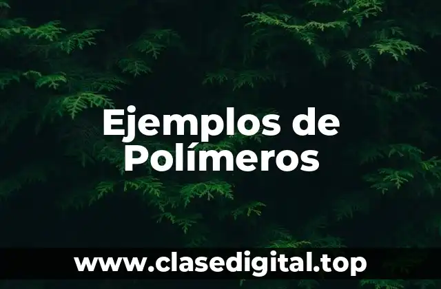 Ejemplos de Polímeros
