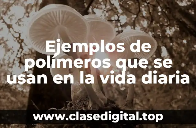 Ejemplos de polímeros que se usan en la vida diaria