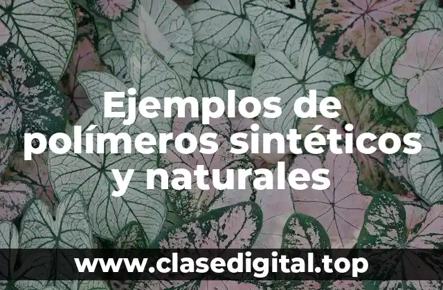 Ejemplos de polímeros sintéticos y naturales