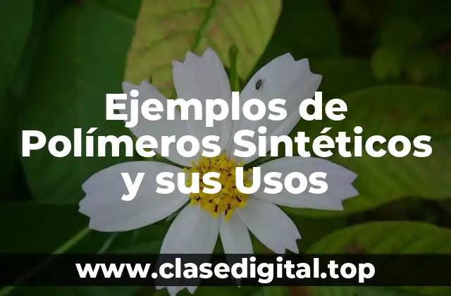 Ejemplos de Polímeros Sintéticos y sus Usos
