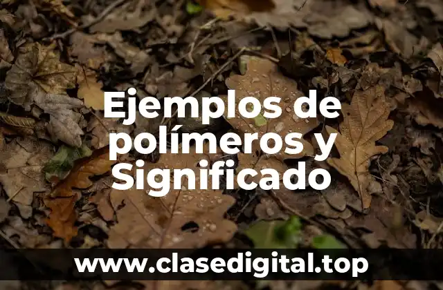 Ejemplos de polímeros y Significado