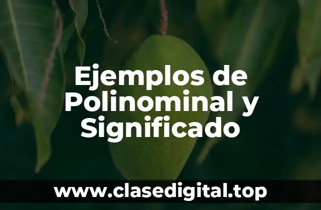 Ejemplos de Polinominal y Significado