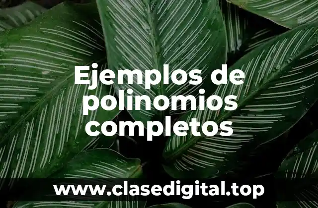 Ejemplos de polinomios completos