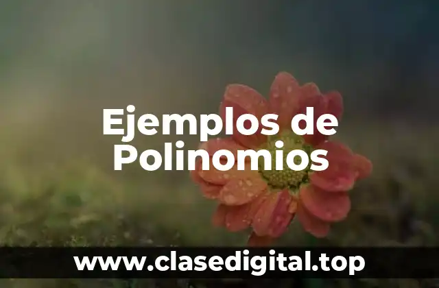 Ejemplos de Polinomios
