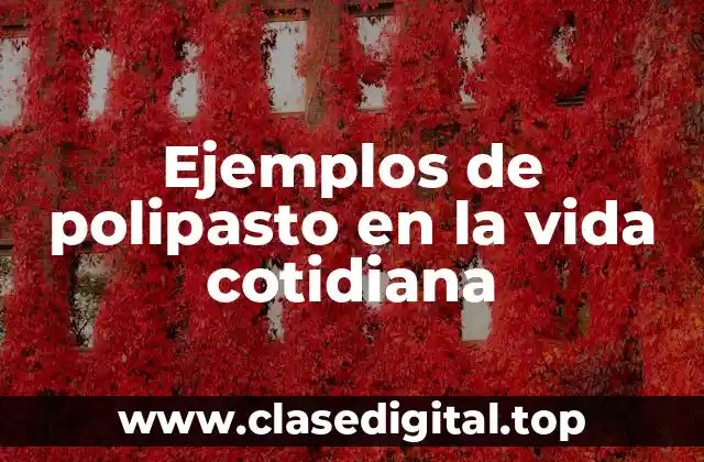 Ejemplos de polipasto en la vida cotidiana
