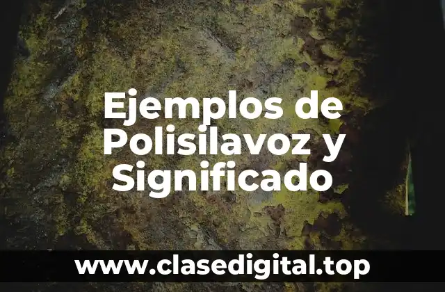 Ejemplos de Polisilavoz