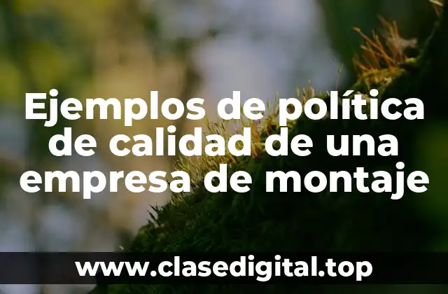 Ejemplos de política de calidad de una empresa de montaje