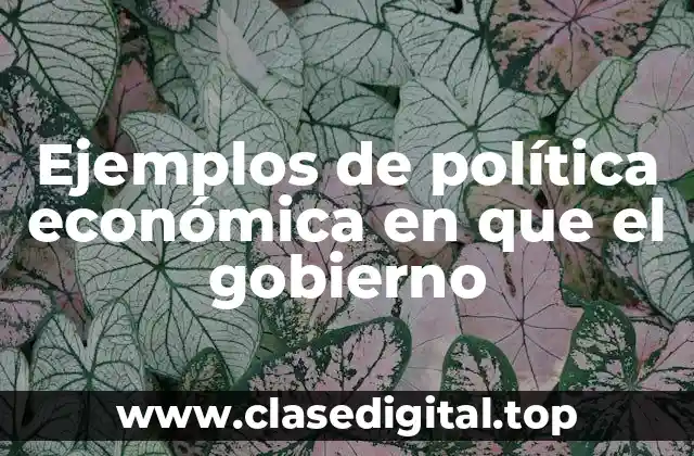 Ejemplos de política económica en que el gobierno