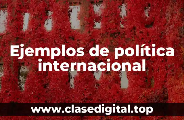 Ejemplos de política internacional