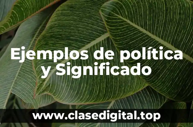Ejemplos de política y Significado