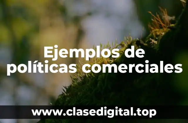 Ejemplos de políticas comerciales