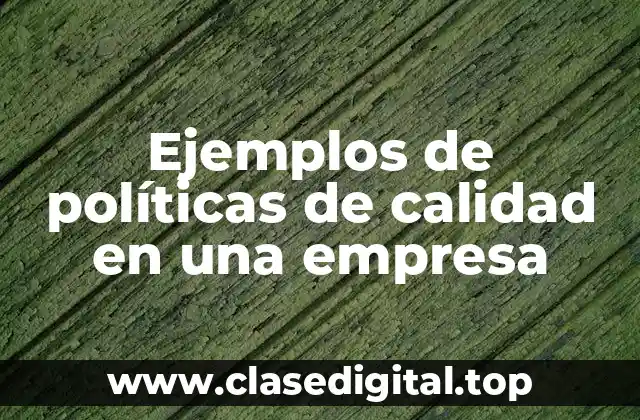 Ejemplos de políticas de calidad en una empresa